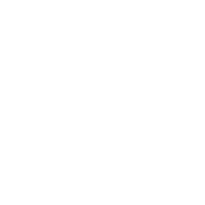 Zebra Logo Design #ffffff
