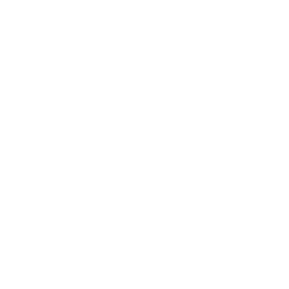 Insect Logo Design #ffffff