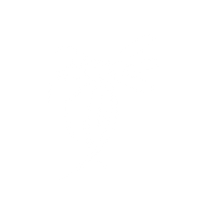 Mosquito Bold Logo #ffffff
