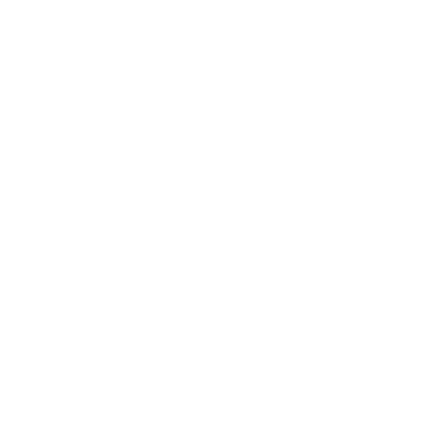 Logo of a Bear #ffffff
