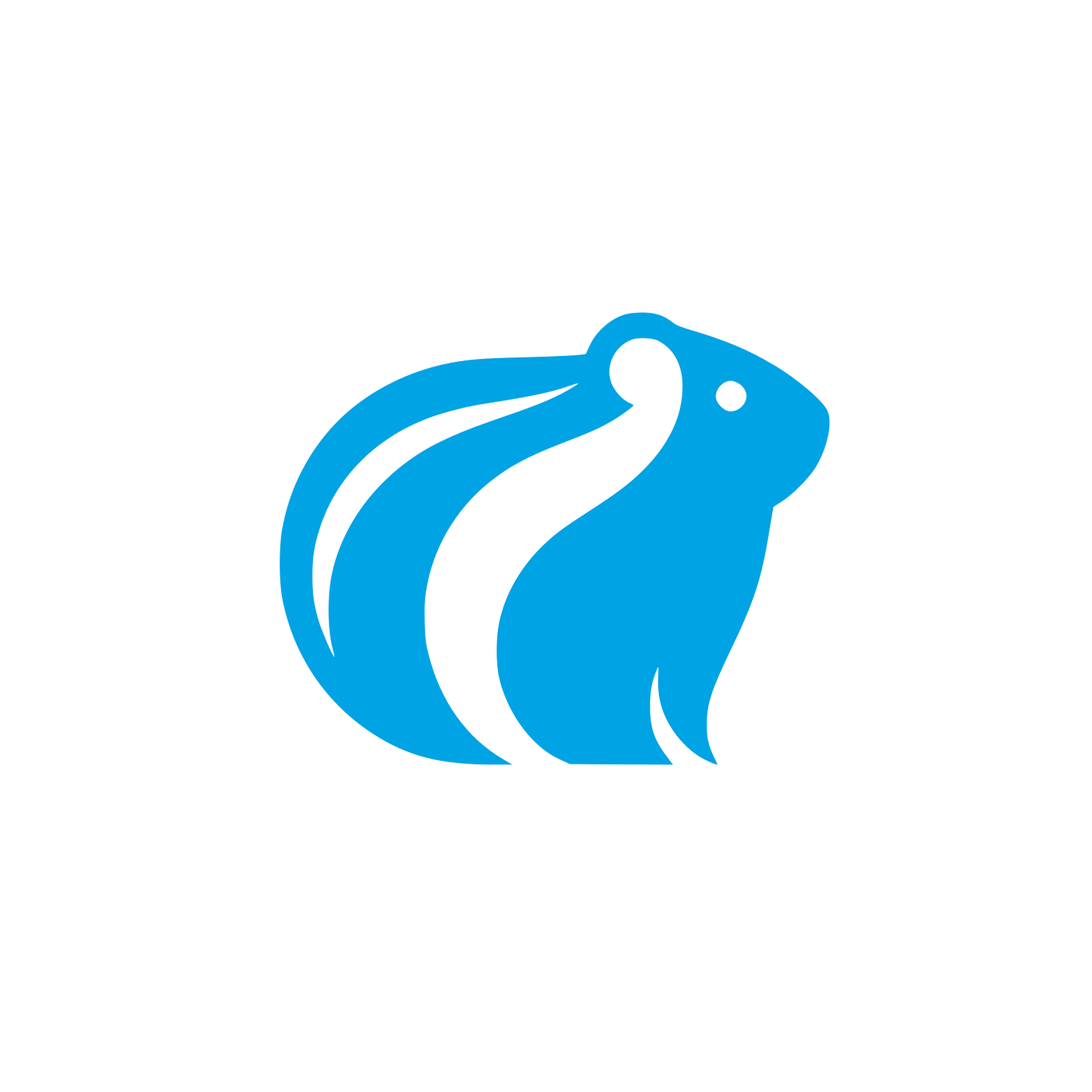 Guinea Pig Logo #00a3e4