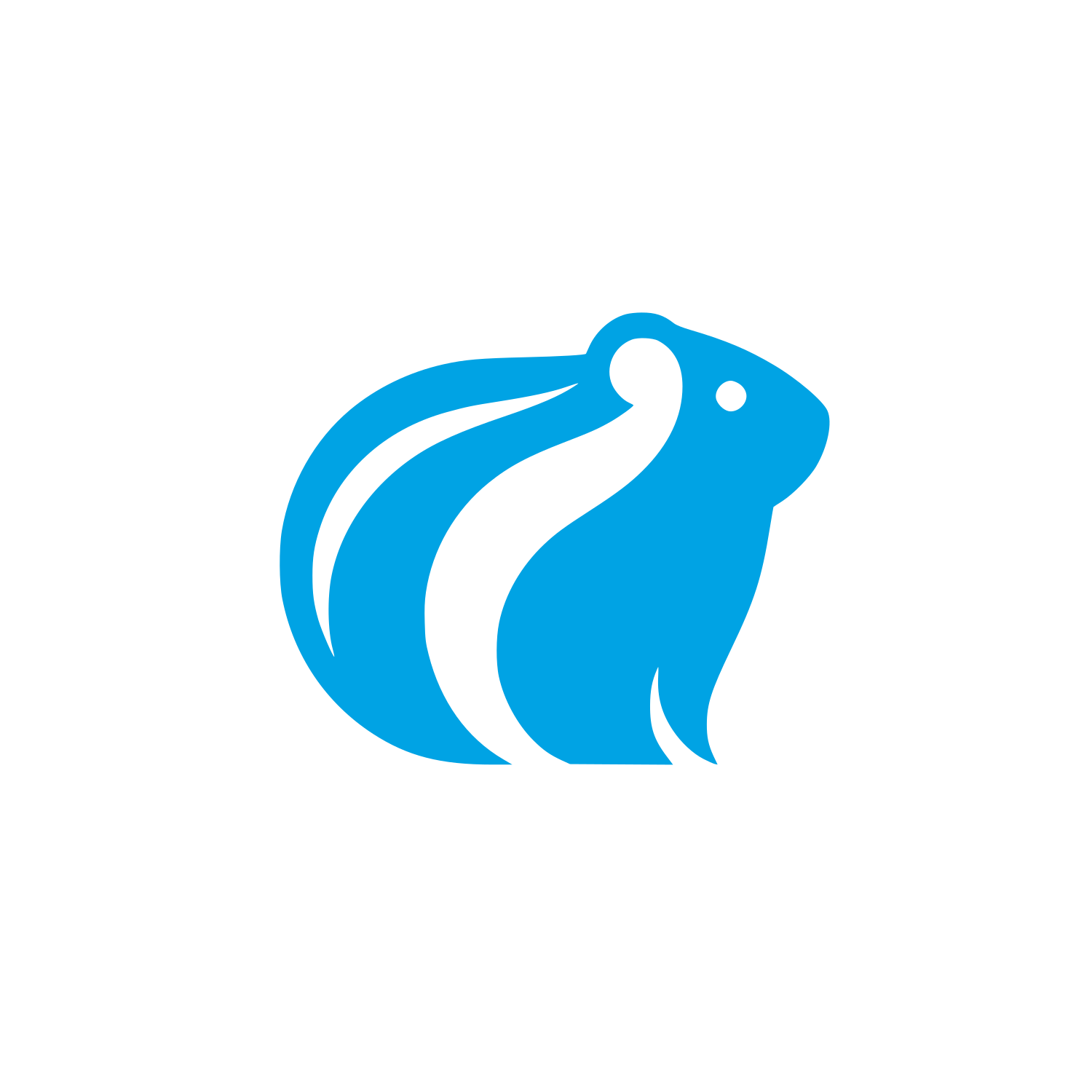 Guinea Pig Logo #00a3e4