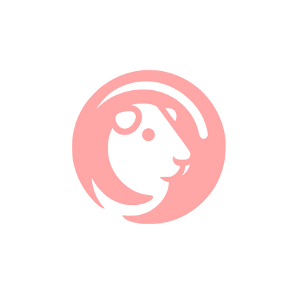 Lion Logo Design #ffa6a6