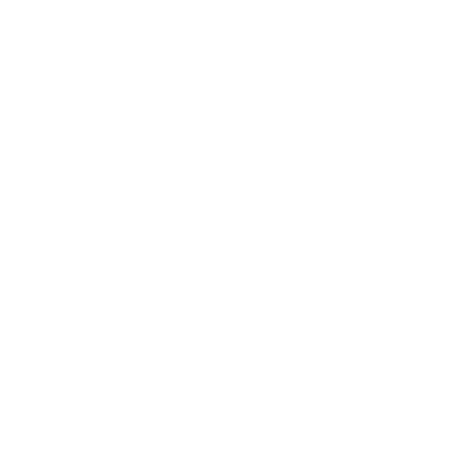 Lion Logo Design #ffffff