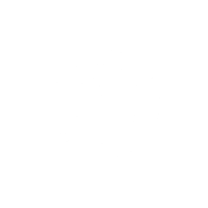 Lion Logo Design #ffffff
