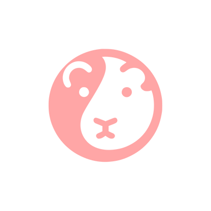 Lion Logo Design #ffa6a6