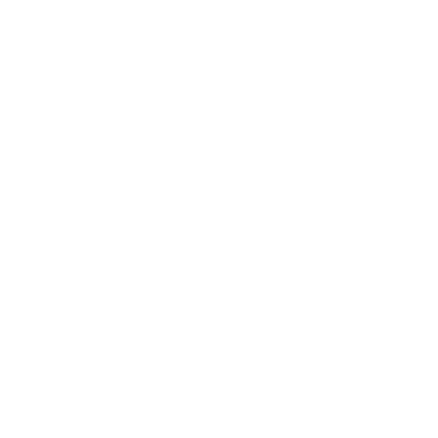 Lion Logo Design #ffffff