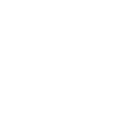 Lion Logo Design #ffffff