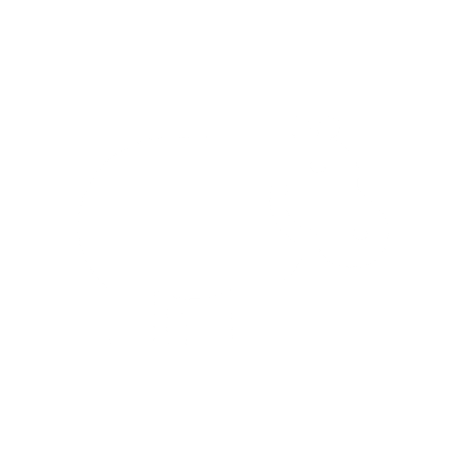 Hippo Logo Design #ffffff