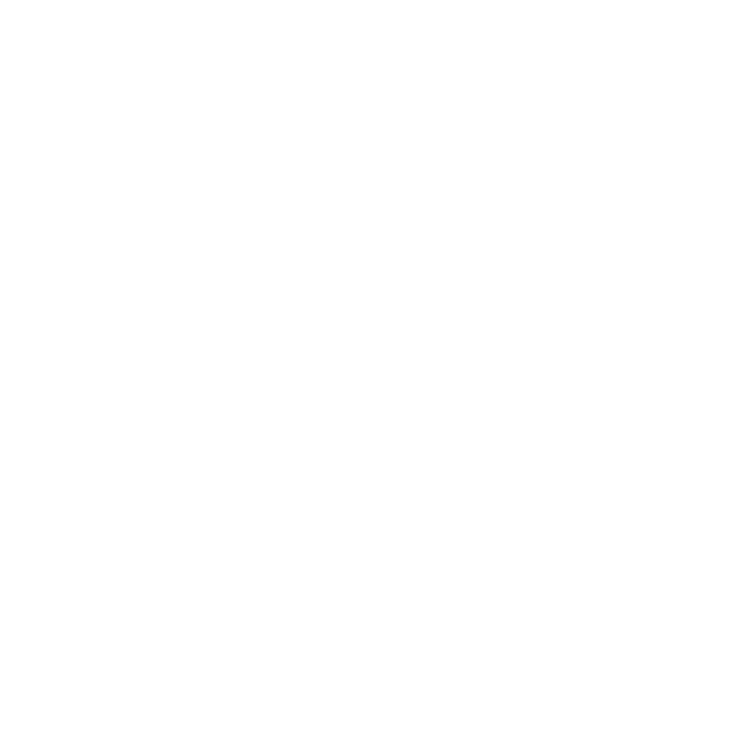 Dolphin Logo Design #ffffff