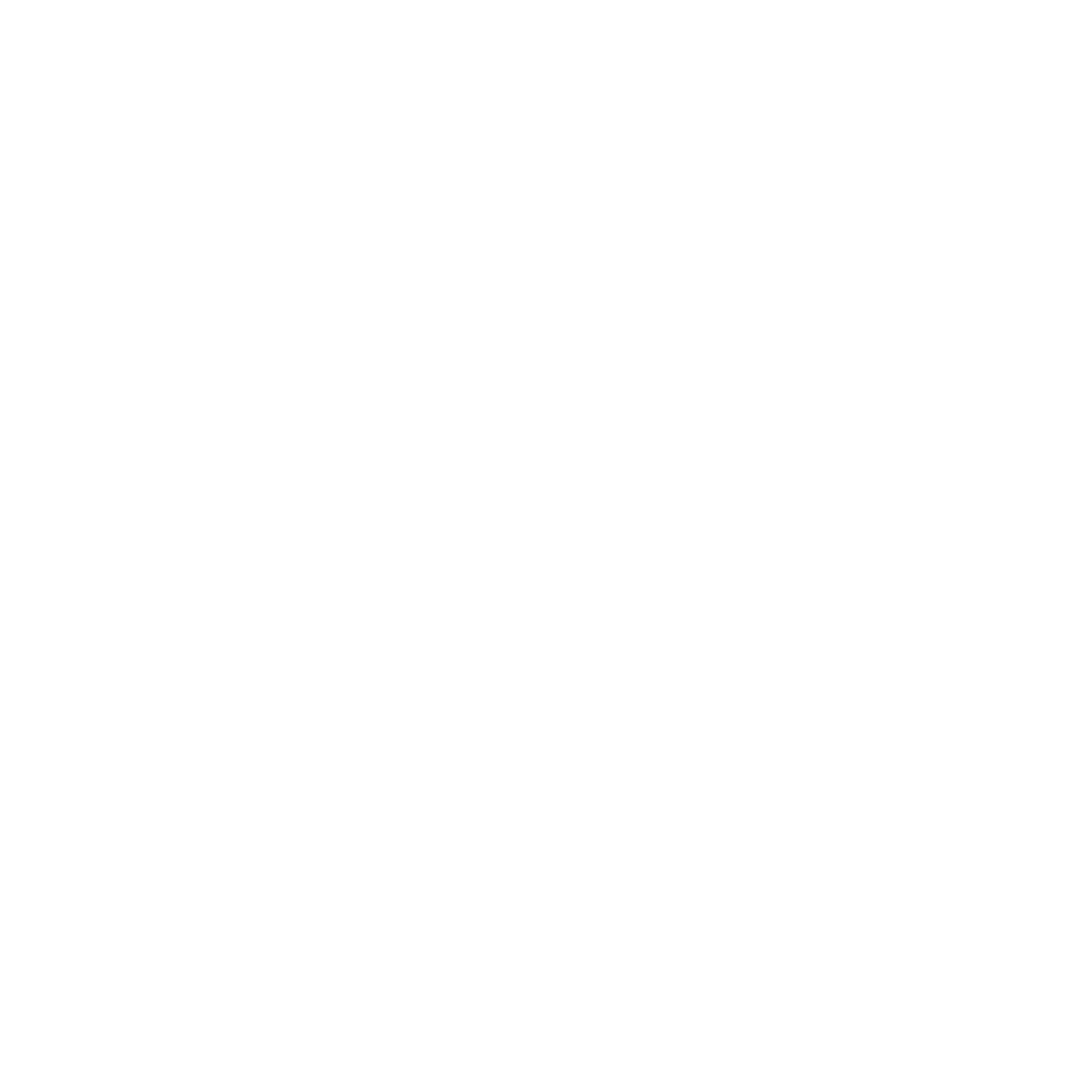 Dolphin Logo Design #ffffff