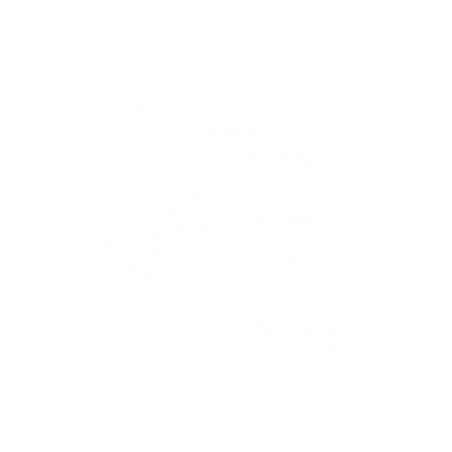 Dolphin Logo Design #ffffff