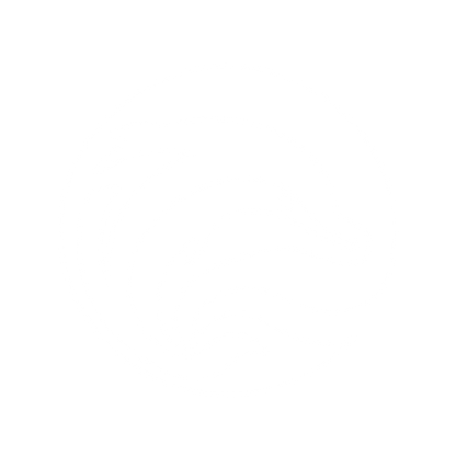 Dolphin Waves Logo #ffffff