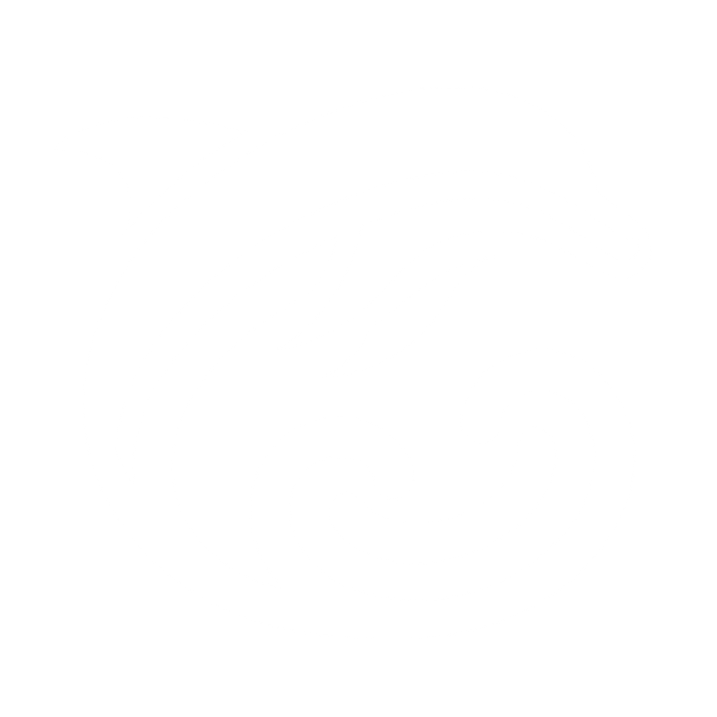 Dolphin Wave Logo #ffffff