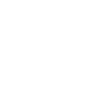 Bold Rabbit Logo #ffffff