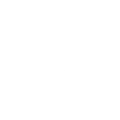 Octopus Logo Design #ffffff