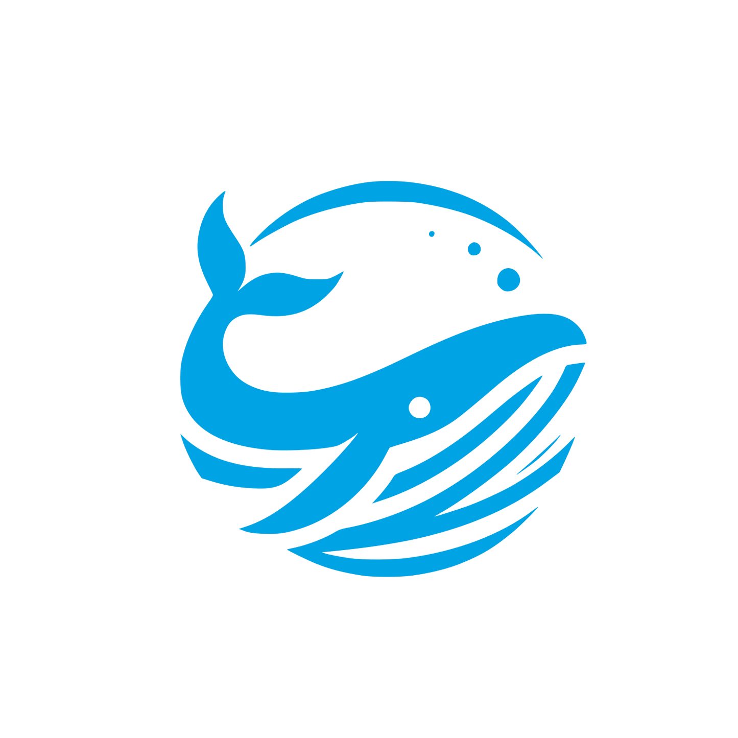 Whale Logo Design #00a3e4