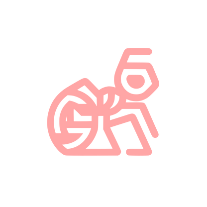 Ant Geometric Logo #ffa6a6