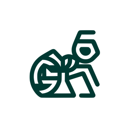 Ant Geometric Logo #003932