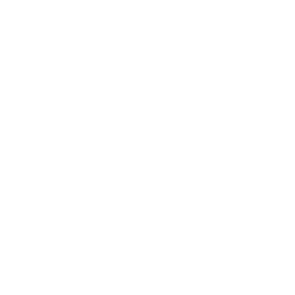 Bat Logo Design #ffffff