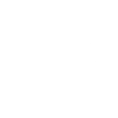 Bat Logo #ffffff