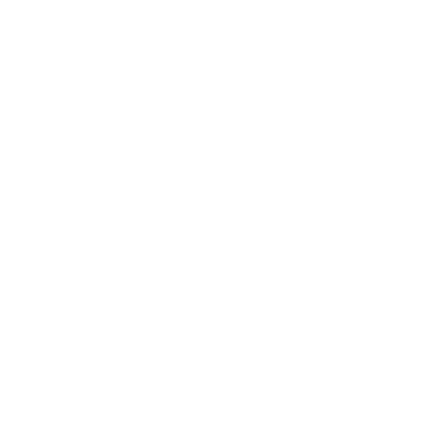 Bold Bat Logo #ffffff