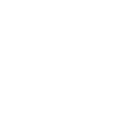 Bold Bat Logo #ffffff
