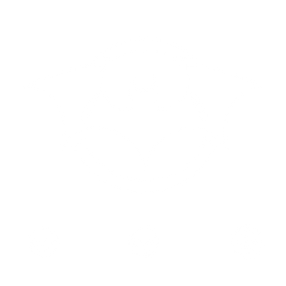 Bat Logo Design #ffffff