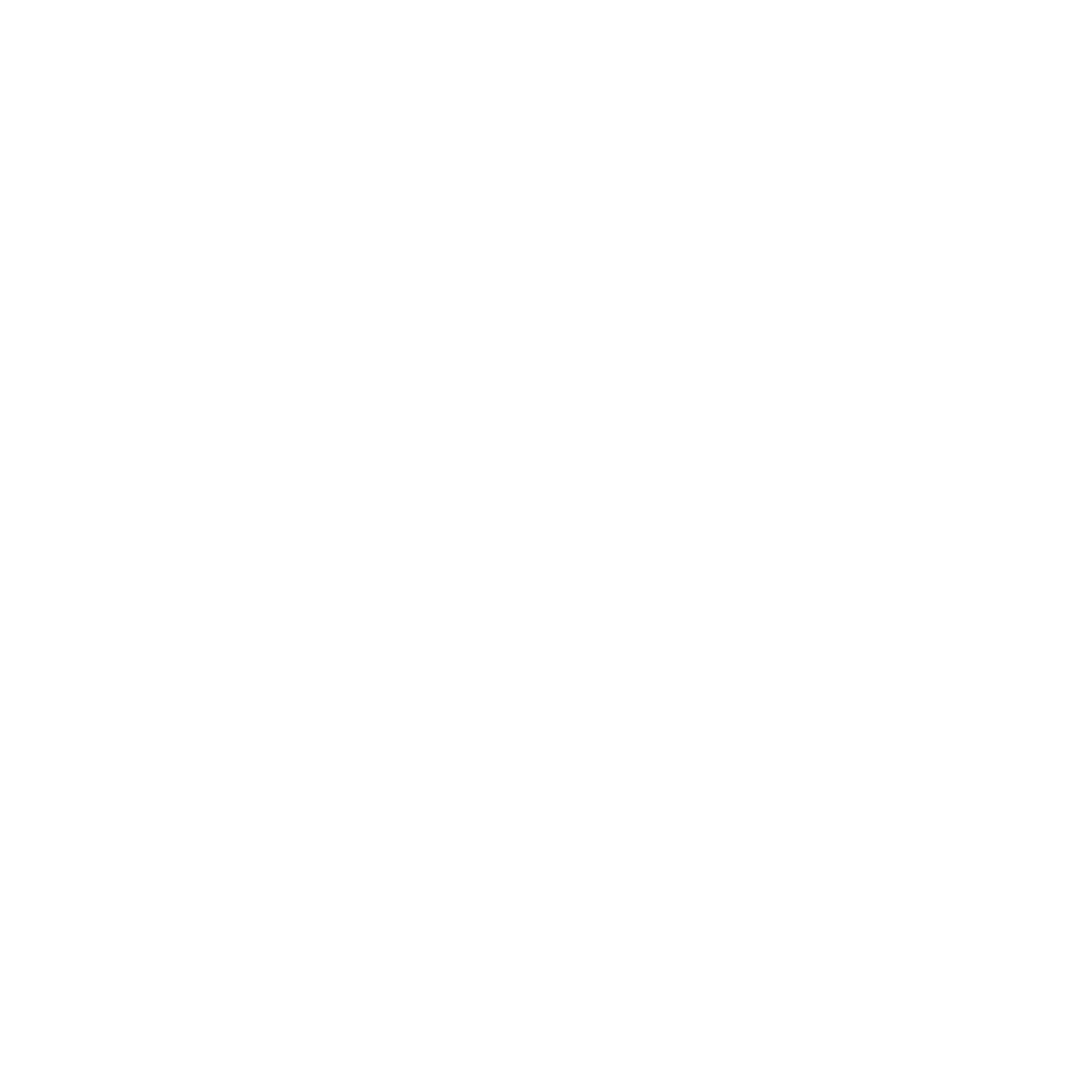 Yin Yang Snail Logo #ffffff