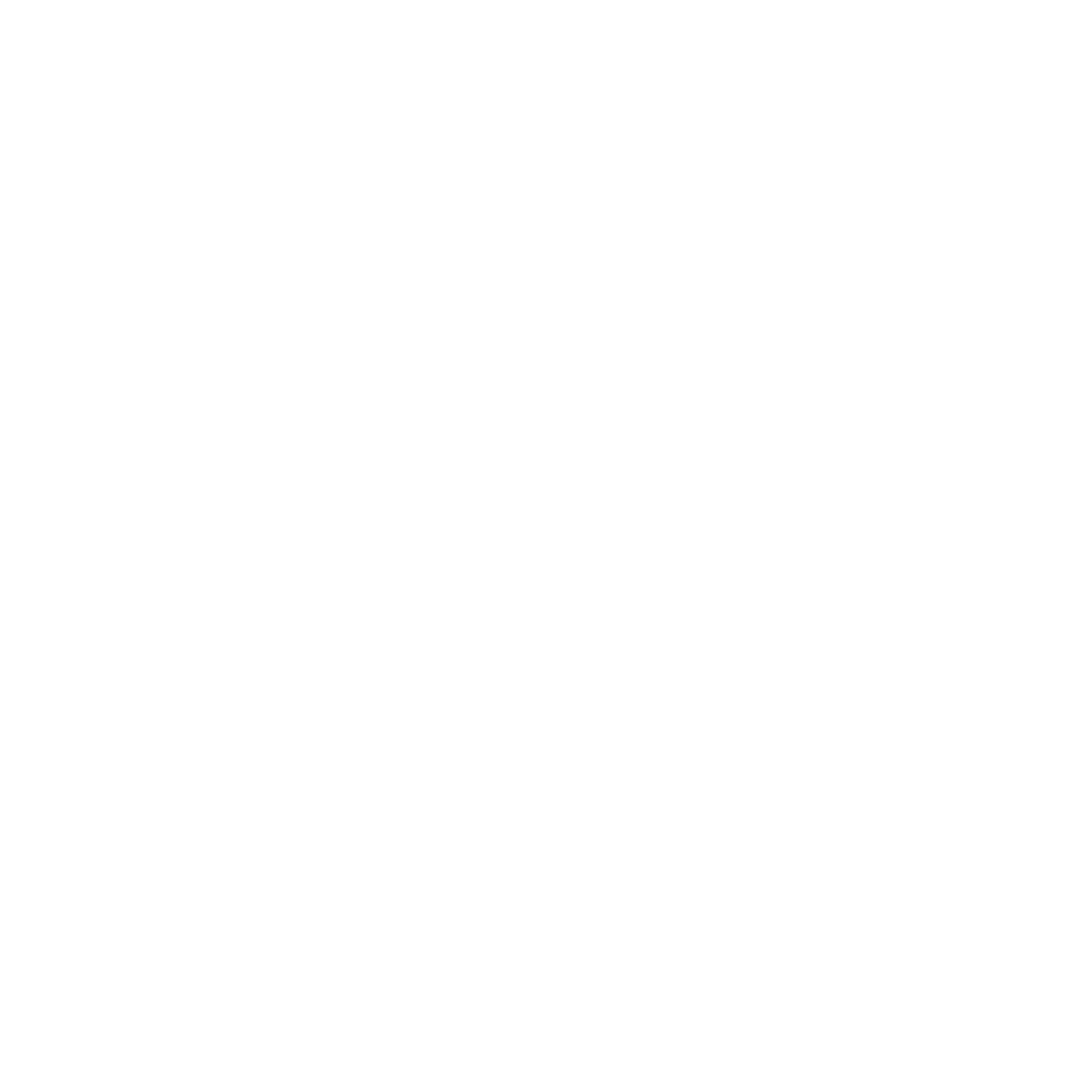 Unique Bear Logo #ffffff