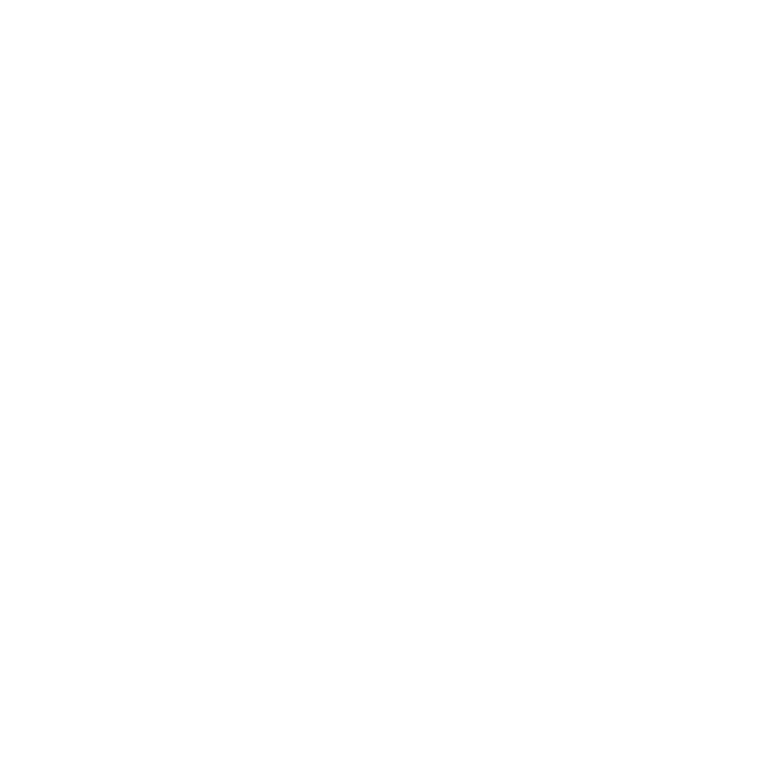 Bold Beetle Logo #ffffff