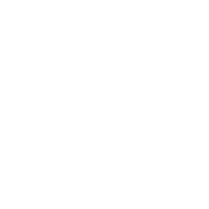 Bold Beetle Logo #ffffff