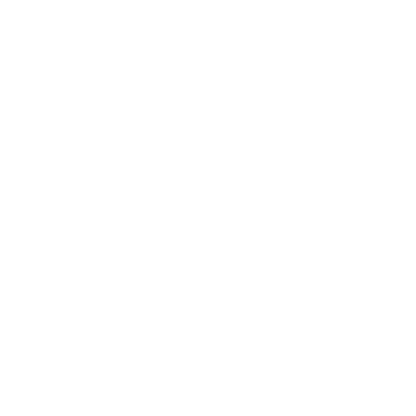 Logo Beetle Design #ffffff