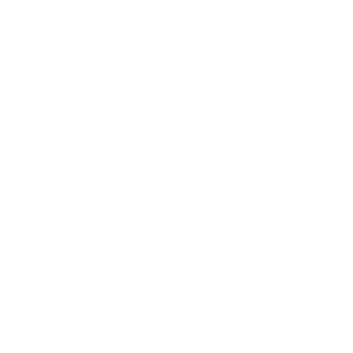Beetle Logo Design #ffffff