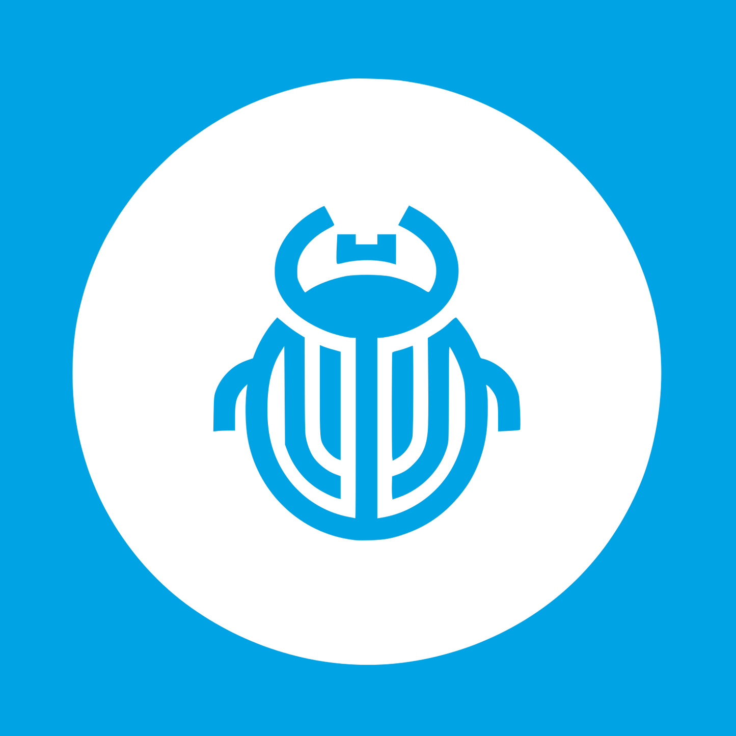 Beetle Logo Design #00a3e4