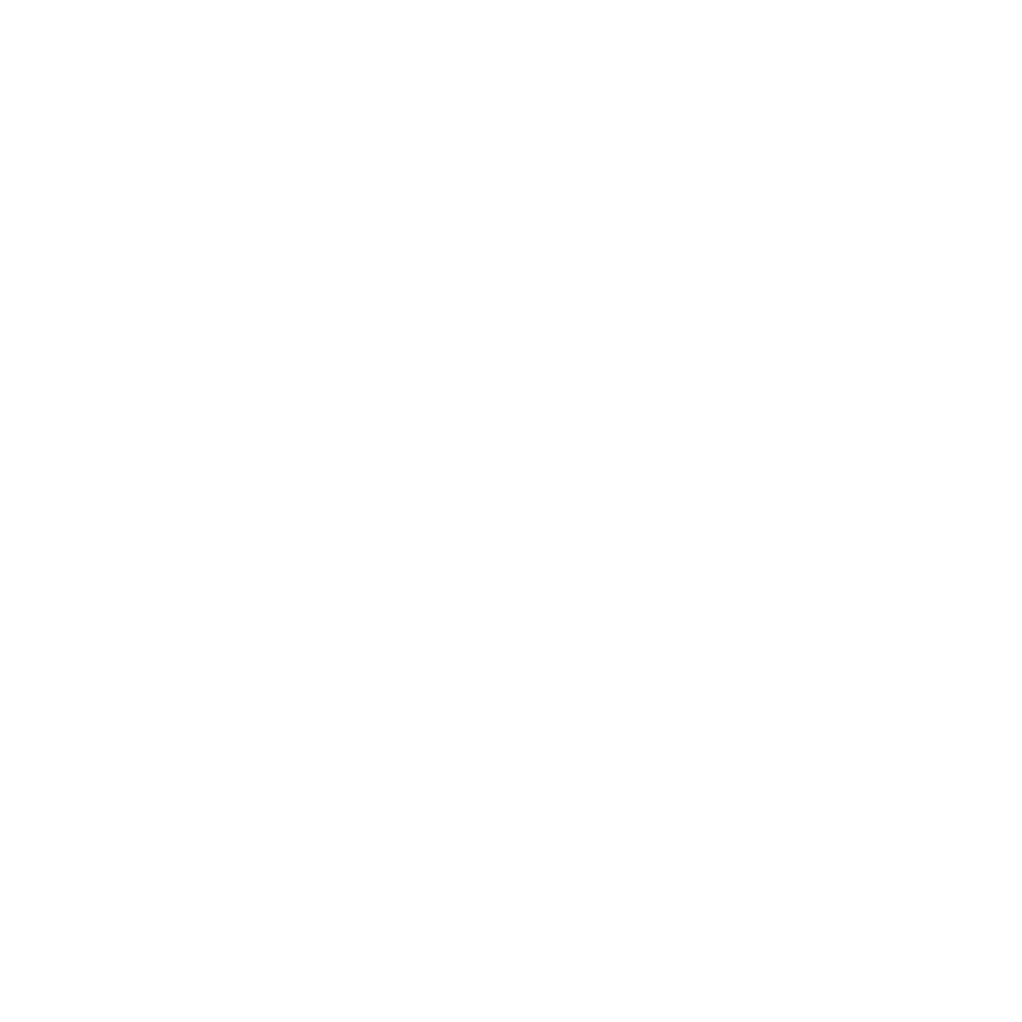 Beetle Logo Design #ffffff