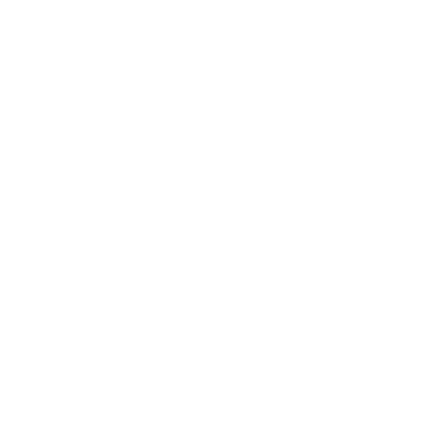 Beetle Logo Design #ffffff