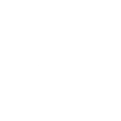 Beetle Logo Design #ffffff