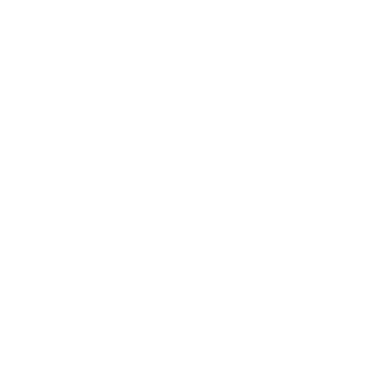 Bold Lion Logo #ffffff