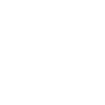 Bold Lion Logo #ffffff