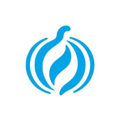 Onion Logo Design #00a3e4
