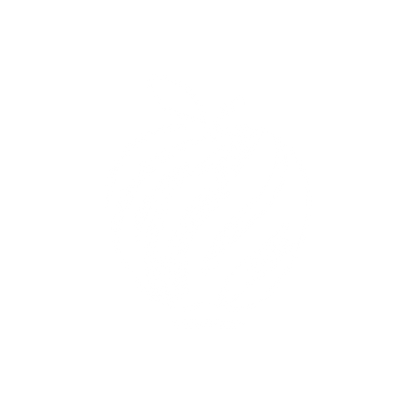 Apple Bold Logo #ffffff