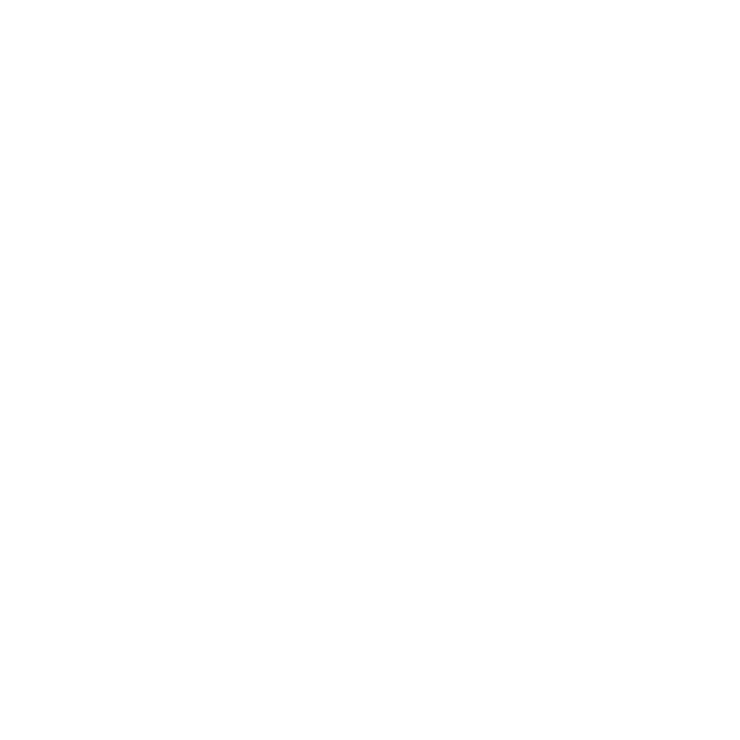 Flame Logo #ffffff