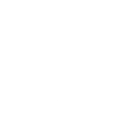 Flame Logo #ffffff
