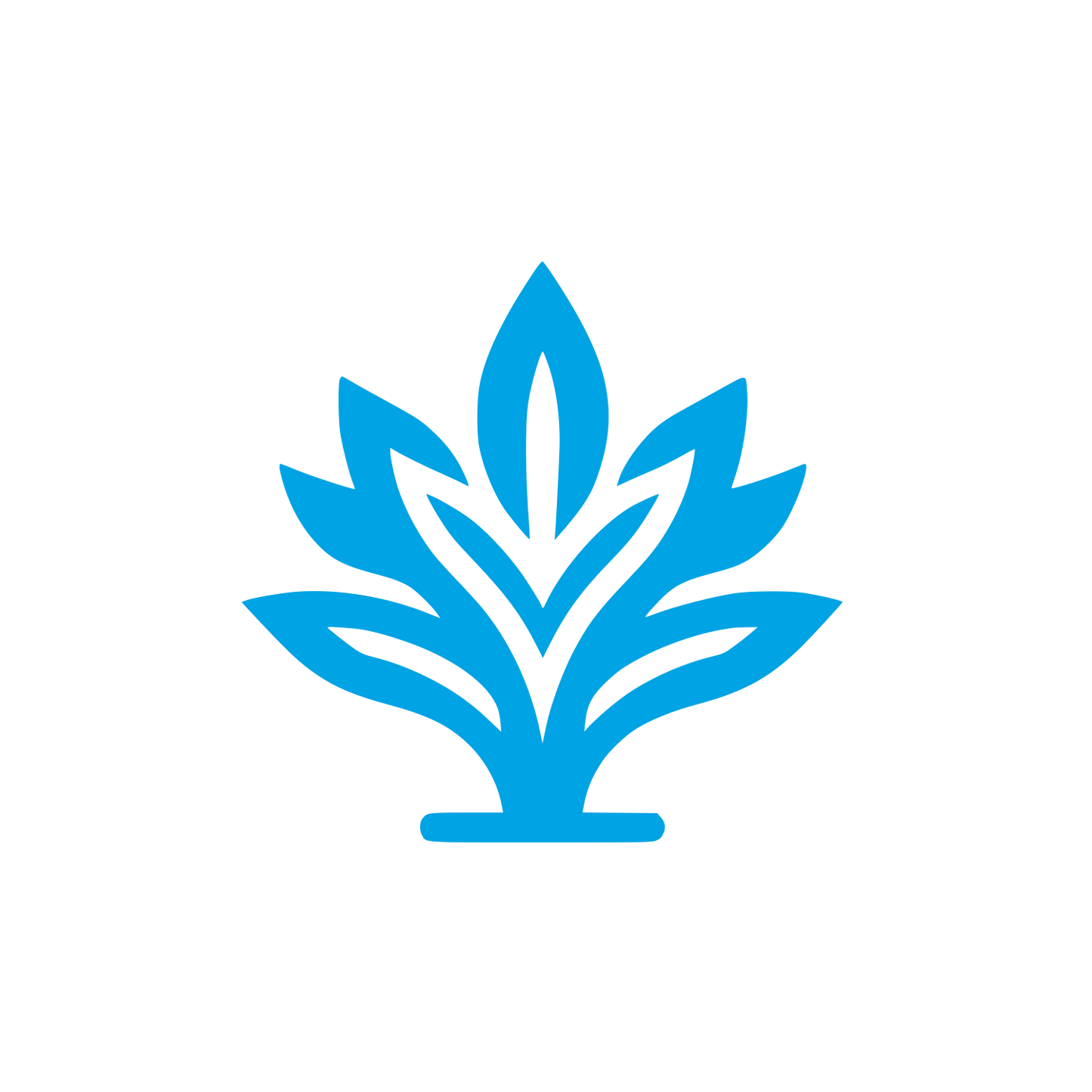 Arrowroot Leaf Logo #00a3e4