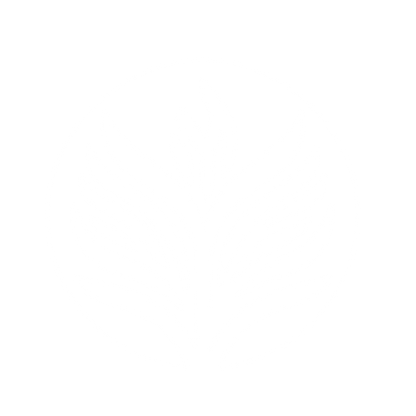 Arrowroot Plant Logo #ffffff