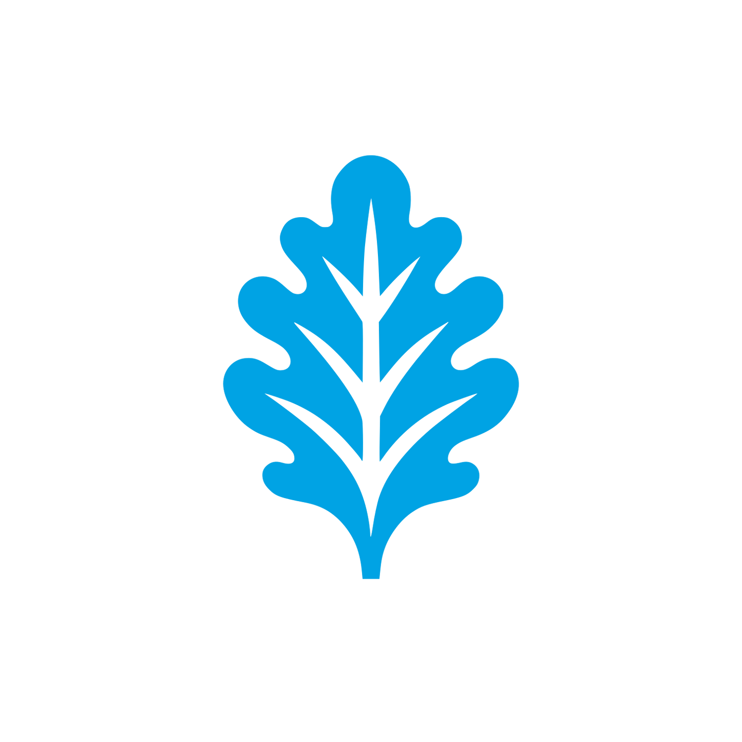 Leaf Logo Design #00a3e4