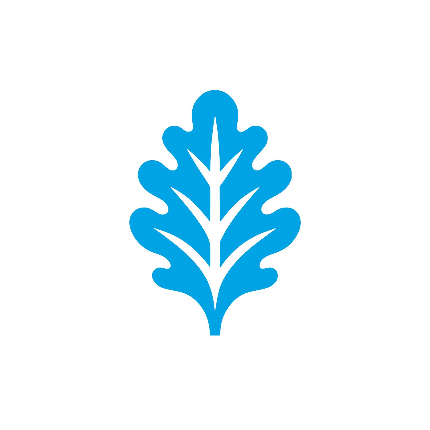 Leaf Logo Design #00a3e4