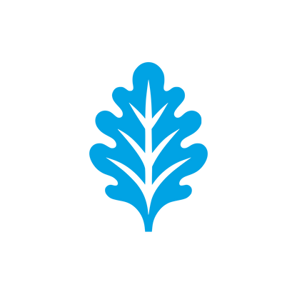 Leaf Logo Design #00a3e4