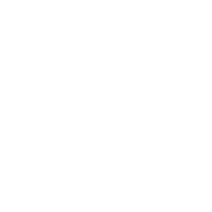 Leaf Logo Design #ffffff